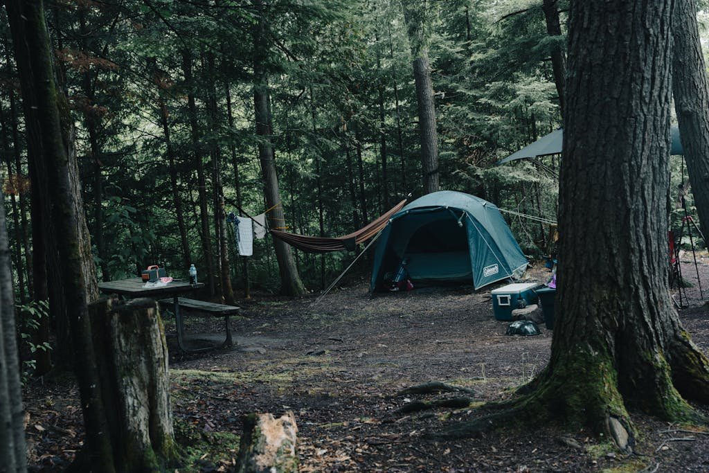 A tranquil camping scene in a dense forest with a tent, hammock, and picnic setup.
